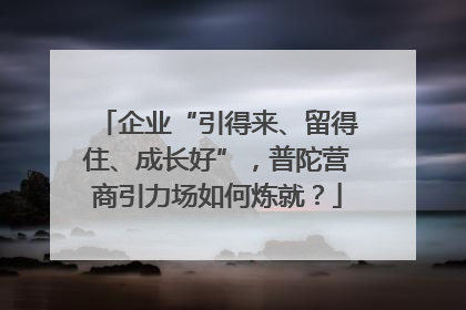 企业“引得来、留得住、成长好”，普陀营商引力场如何炼就？