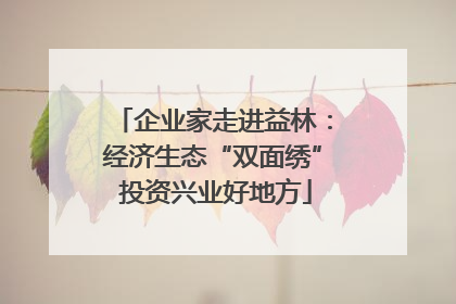 企业家走进益林：经济生态“双面绣” 投资兴业好地方