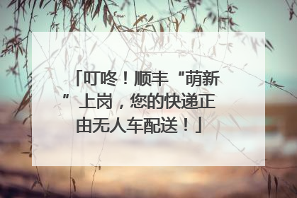 叮咚！顺丰“萌新”上岗，您的快递正由无人车配送！
