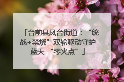 台前县凤台街道：“统战+禁烧”双轮驱动守护蓝天 “零火点”