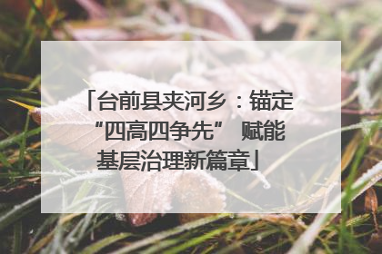 台前县夹河乡：锚定“四高四争先” 赋能基层治理新篇章