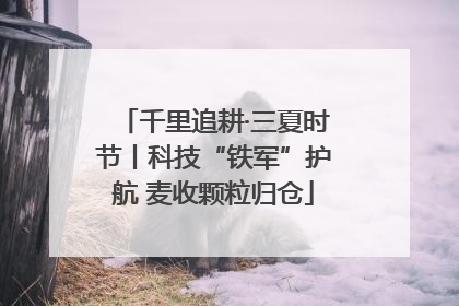 千里追耕·三夏时节丨科技“铁军”护航 麦收颗粒归仓