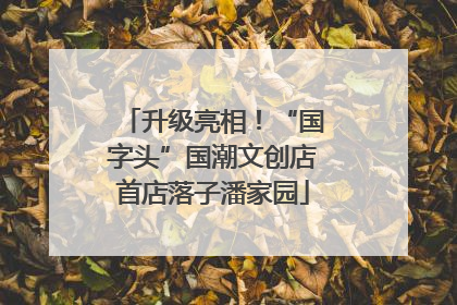 升级亮相！“国字头”国潮文创店首店落子潘家园