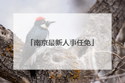 南京最新人事任免