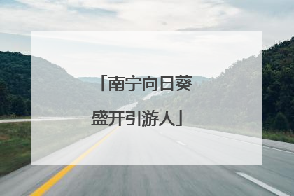 南宁向日葵盛开引游人