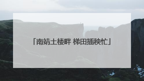 南靖土楼畔 梯田插秧忙