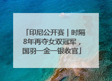 印尼公开赛｜时隔8年再夺女双冠军，国羽一金一银收官