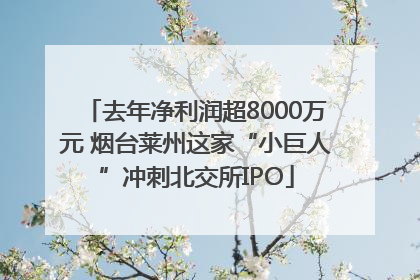 去年净利润超8000万元 烟台莱州这家“小巨人”冲刺北交所IPO