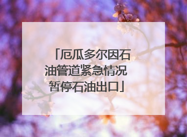 厄瓜多尔因石油管道紧急情况暂停石油出口