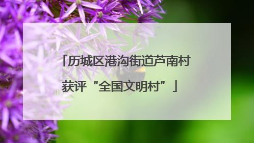 历城区港沟街道芦南村获评“全国文明村”