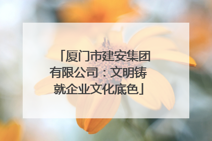 厦门市建安集团有限公司：文明铸就企业文化底色