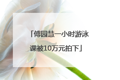 傅园慧一小时游泳课被10万元拍下