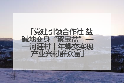 党建引领合作社 盐碱地变身“聚宝盆”——河涯村十年蝶变实现产业兴村群众富