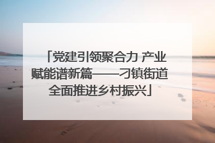 党建引领聚合力 产业赋能谱新篇——刁镇街道全面推进乡村振兴