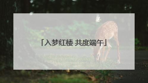 入梦红楼 共度端午