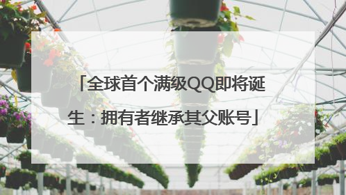 全球首个满级QQ即将诞生：拥有者继承其父账号