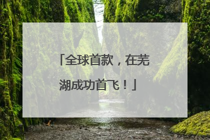 全球首款，在芜湖成功首飞！