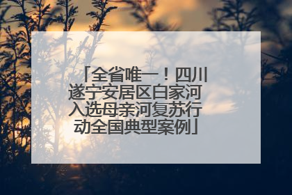 全省唯一！四川遂宁安居区白家河入选母亲河复苏行动全国典型案例