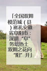 全国双拥模范城（县）巡礼安徽省阜阳市：深耕“阜”务培热土 双拥之花向“阳”开