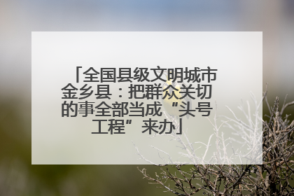 全国县级文明城市金乡县：把群众关切的事全部当成“头号工程”来办