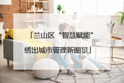 兰山区“智慧赋能”绣出城市管理新图景