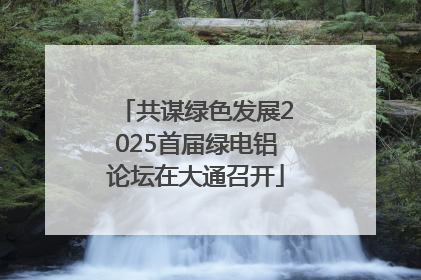 共谋绿色发展2025首届绿电铝论坛在大通召开