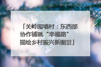 关岭围墙村：东西部协作铺就“幸福路” 描绘乡村振兴新图景
