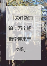 关岭新铺镇：万亩蜂糖李迎来丰收季