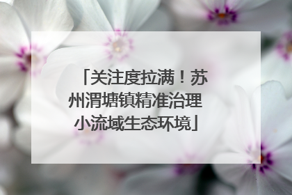 关注度拉满！苏州渭塘镇精准治理小流域生态环境