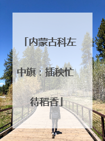 内蒙古科左中旗：插秧忙 待稻香