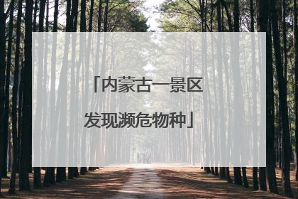 内蒙古一景区发现濒危物种