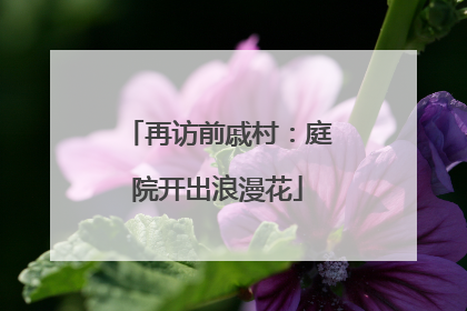 再访前戚村：庭院开出浪漫花