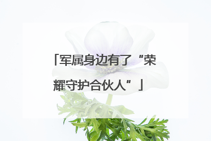 军属身边有了“荣耀守护合伙人”