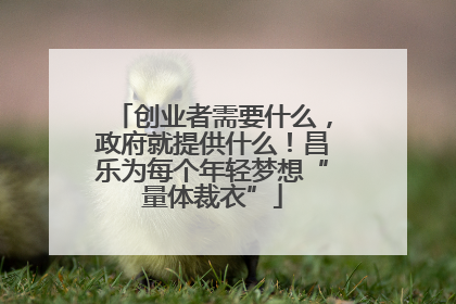 创业者需要什么，政府就提供什么！昌乐为每个年轻梦想“量体裁衣”