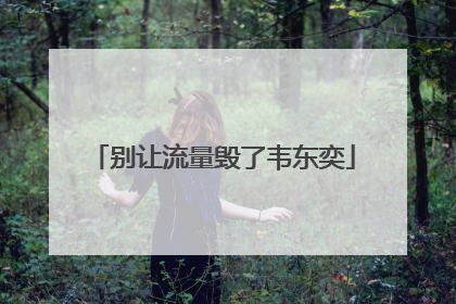 别让流量毁了韦东奕