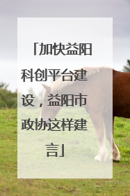 加快益阳科创平台建设，益阳市政协这样建言