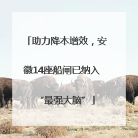 助力降本增效，安徽14座船闸已纳入“最强大脑”