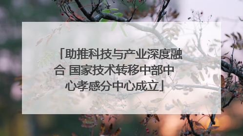 助推科技与产业深度融合 国家技术转移中部中心孝感分中心成立