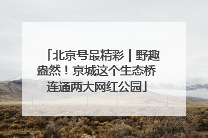 北京号最精彩｜野趣盎然！京城这个生态桥连通两大网红公园