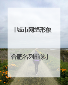 城市网络形象合肥名列前茅