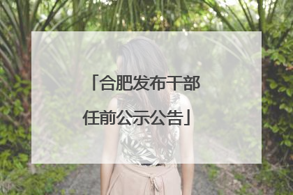 合肥发布干部任前公示公告