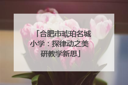 合肥市琥珀名城小学：探律动之美 研教学新思
