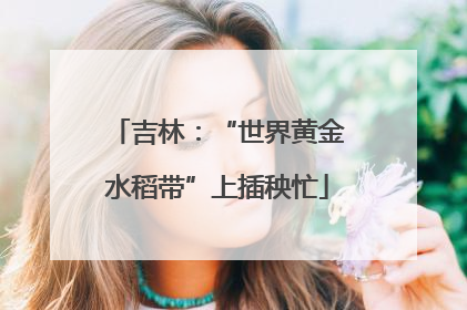 吉林：“世界黄金水稻带”上插秧忙