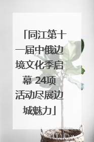 同江第十一届中俄边境文化季启幕 24项活动尽展边城魅力