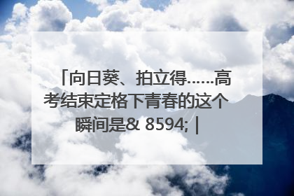 向日葵、拍立得……高考结束定格下青春的这个瞬间是& 8594;｜2025四川高考