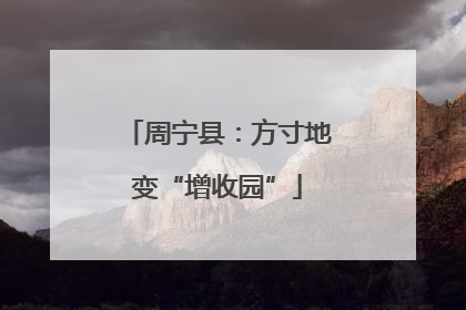 周宁县：方寸地变“增收园”