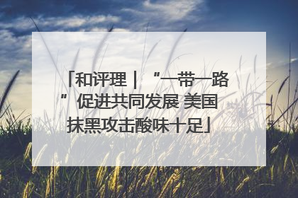 和评理｜“一带一路”促进共同发展 美国抹黑攻击酸味十足
