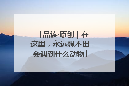 品读·原创｜在这里，永远想不出会遇到什么动物