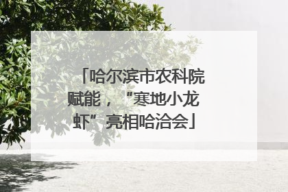 哈尔滨市农科院赋能，“寒地小龙虾”亮相哈洽会