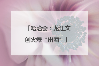 哈洽会：龙江文创火爆“出圈”